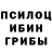 Галлюциногенные грибы мицелий Svetlana Prisacari