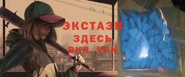 индика Вязьма