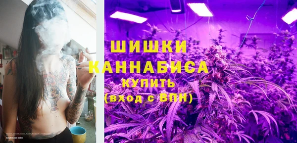 индика Вязьма