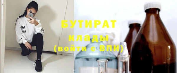 индика Вязьма