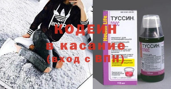 индика Вязьма