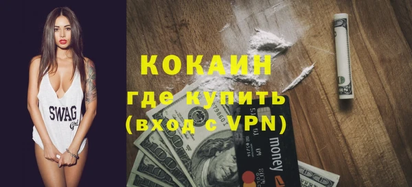 индика Вязьма