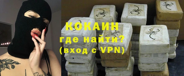 индика Вязьма