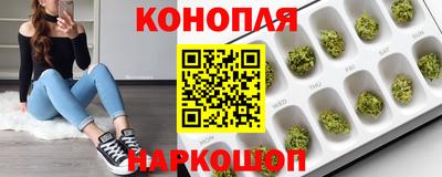 дурь Гусев