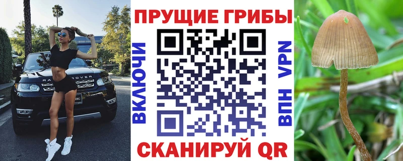 Псилоцибиновые грибы MAGIC MUSHROOMS  Нижний Тагил 