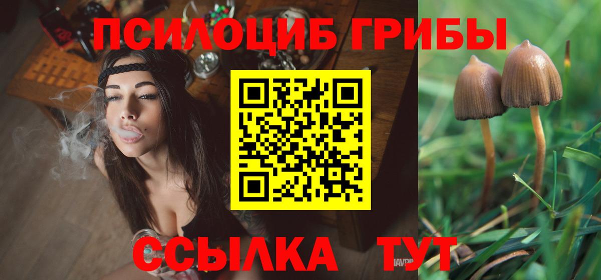 Псилоцибиновые грибы прущие грибы Нижний Тагил
