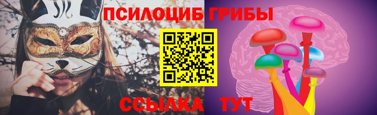 Галлюциногенные грибы мицелий  как найти закладки  Вход с VPN  Нижний Тагил  Галлюциногенные грибы Psilocybe 